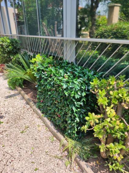 Cache groupe de climatisation en imitation feuillage de la marque : Cache-Clim