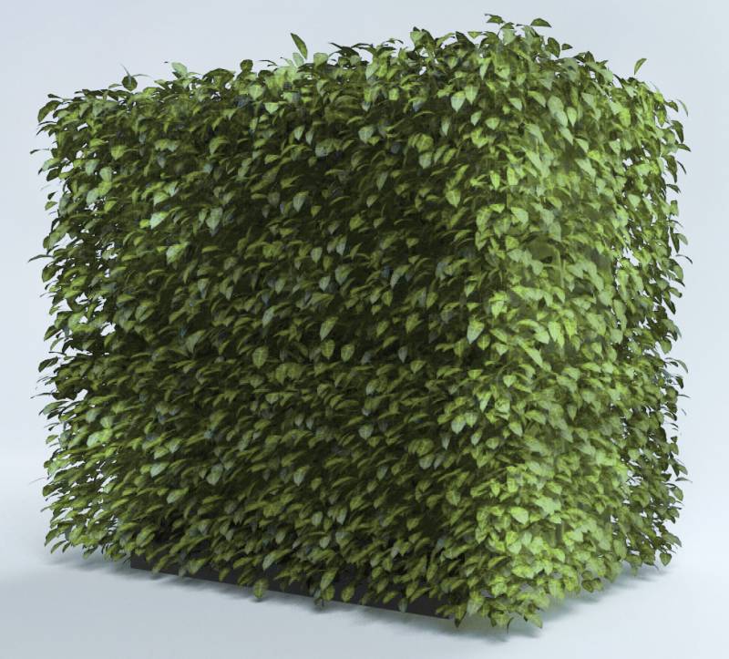 Cache clim imitation feuillage à Ollioules