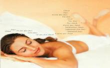 Nos prestations sur le secteur de Toulon